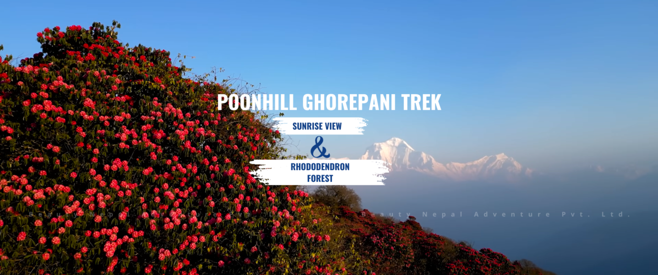 Poonhill Ghorepani Trek