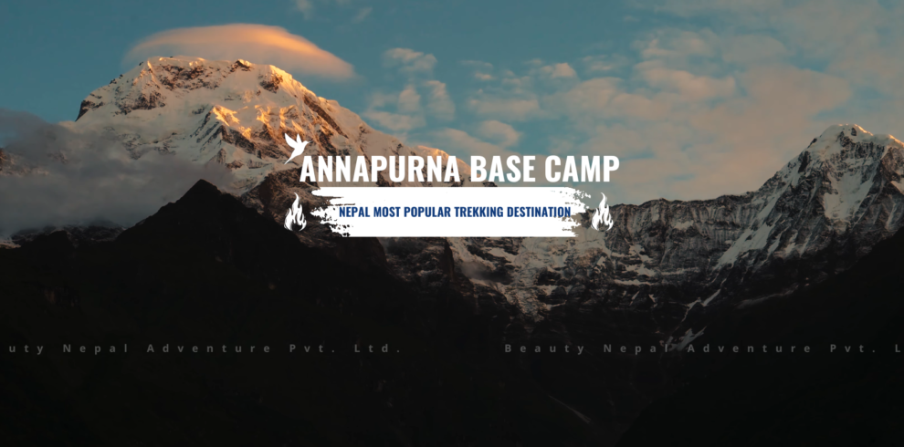 Annapurna Base Camp: Nepal's most popular trekking destination